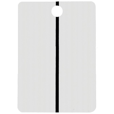 Maestro MS-W ΚΑΡΤΕΣ ΤΑΙΡΙΑΓΜΑΤΟΣ ΧΡΩΜΑΤΟΣ (ΠΑΝΕΛ), ΜΕΤΑΛΛΙΚΕΣ ΑΣΠΡΕΣ